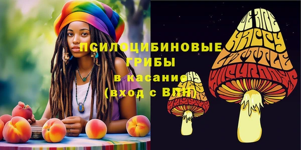 гидра Балабаново